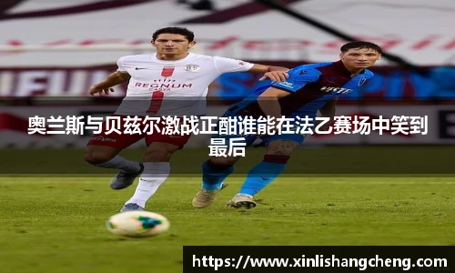 MK体育官网