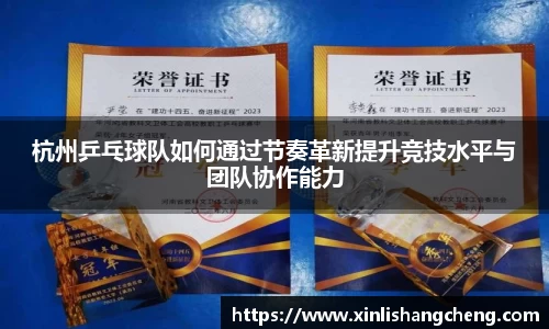 杭州乒乓球队如何通过节奏革新提升竞技水平与团队协作能力